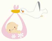 赤ちゃんを運ぶコウノトリ
